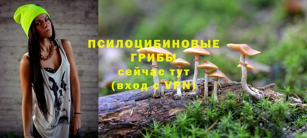 экстази Няндома