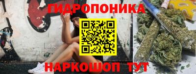 прущие грибы Жуковский